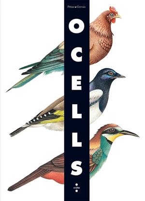 OCELLS | 9788466126243 | PITTAU I GERVAIS