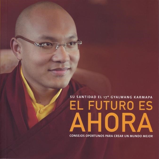 FUTURO ES AHORA. CONSEJOS OPORTUNOS PARA CREAR UN MUNDO MEJOR | 9788495376961 | KARMAPA,GYALWANG