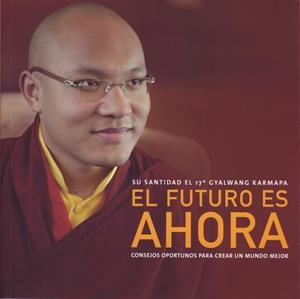 FUTURO ES AHORA. CONSEJOS OPORTUNOS PARA CREAR UN MUNDO MEJOR | 9788495376961 | KARMAPA,GYALWANG