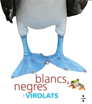 BLANCS, NEGRES I VIROLATS. ELS ANIMALS A MIDA NATURAL | 9788466127288 | DIVERSOS AUTORS,