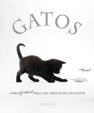 GATOS. LIBRO SORPRESA PARA LOS AMIGOS DE LOS GATOS | 9788480169349