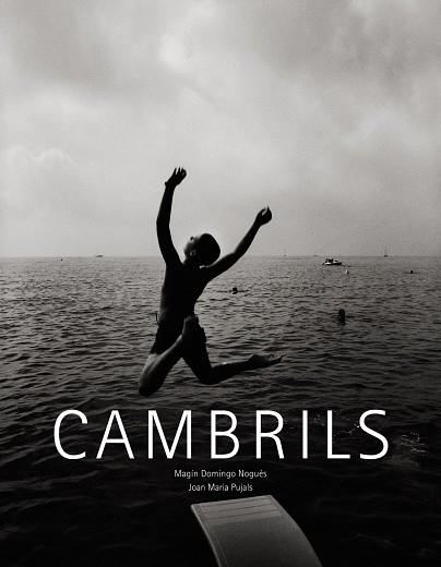 CAMBRILS (CATALA-CASTELLA-ANGLES) | 9788497858236 | DOMINGO,MAGIN