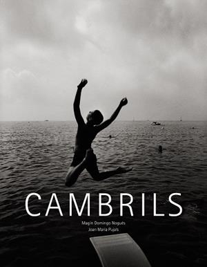 CAMBRILS (CATALA-CASTELLA-ANGLES) | 9788497858236 | DOMINGO,MAGIN