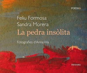 PEDRA INSOLITA | 9788495623898 | FORMOSA,FELIU