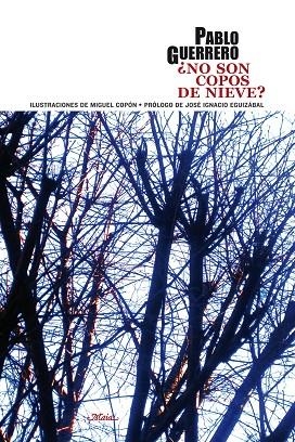 NO SON COPOS DE NIEVE? | 9788492724468 | GUERRERO,PABLO