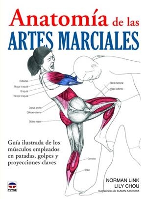 ANATOMIA DE LAS ARTES MARCIALES. GUIA ILUSTRADA DE LOS MUSCULOS EMPLEADOS EN PATADAS, GOLPES Y PROYECCIONES CLAVES | 9788479029111 | LINK,NORMAN CHOU,LILY