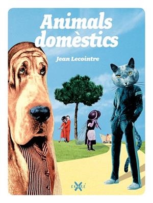 ANIMALS DOMESTICS | 9788493991265 | LECOINTRE,JEAN