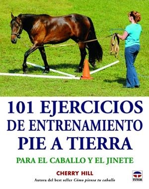 101 EJERCICIOS DE ENTRENAMIENTO PIE A TIERRA PARA EL CABALLO Y EL JINETE | 9788479029432 | HILL,CHERRY