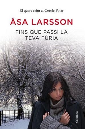 FINS QUE PASSI LA TEVA FURIA | 9788466415064 | LARSSON,ASA