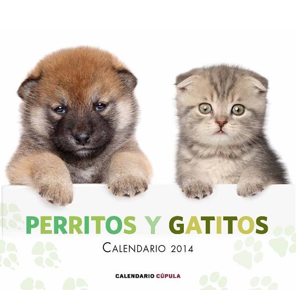 40 ANIMALS EXPLIQUEN UN CONTE | 9788448011697 | DANN,PENNY COOLING,WENDY
