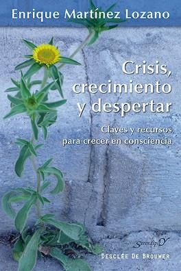CRISIS, CRECIMIENTO Y DESPERTAR. CLAVES Y RECURSOS PARA CRECER EN CONSCIENCIA | 9788433026323 | MARTINEZ LOZANO,ENRIQUE