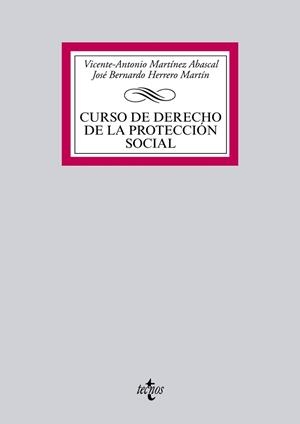 CURSO DE DERECHO DE LA PROTECCION SOCIAL | 9788430959914 | MARTINEZ ABASCAL,VICENTE-ANTONIO HERRERO MARTIN,JOSE BERNARDO