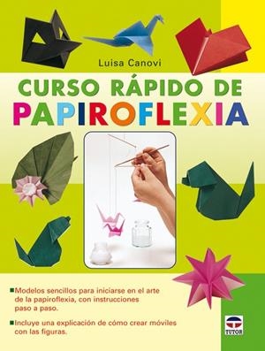 CURSO RAPIDO DE PAPIROFLEXIA | 9788479027704 | CANOVI,LUISA