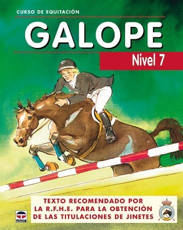 CURSO DE EQUITACION GALOPE NIVEL 7 | 9788479025823 | RFHE.REAL FEDERACION HIPICA ESPAÑOLA