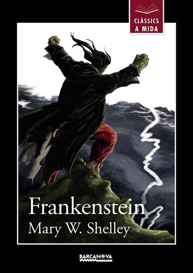 FRANKENSTEIN | 9788448934927 | SHELLEY,MARY W.