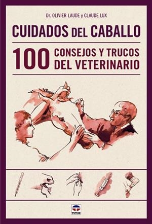 CUIDADOS DEL CABALLO. 100 CONSEJOS DEL VETERINARIO | 9788479029906 | LUX,CLAUDE LAUDE,OLIVIER