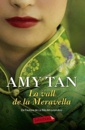 VALL DE LA MERAVELLA | 9788416334278 | TAN,AMY