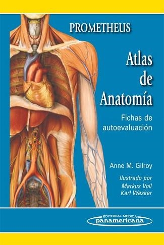 ATLAS DE ANATOMIA FICHAS DE AUTOEVALUACION | 9788498353686 | GILROY PROMETHEUS, ANNE