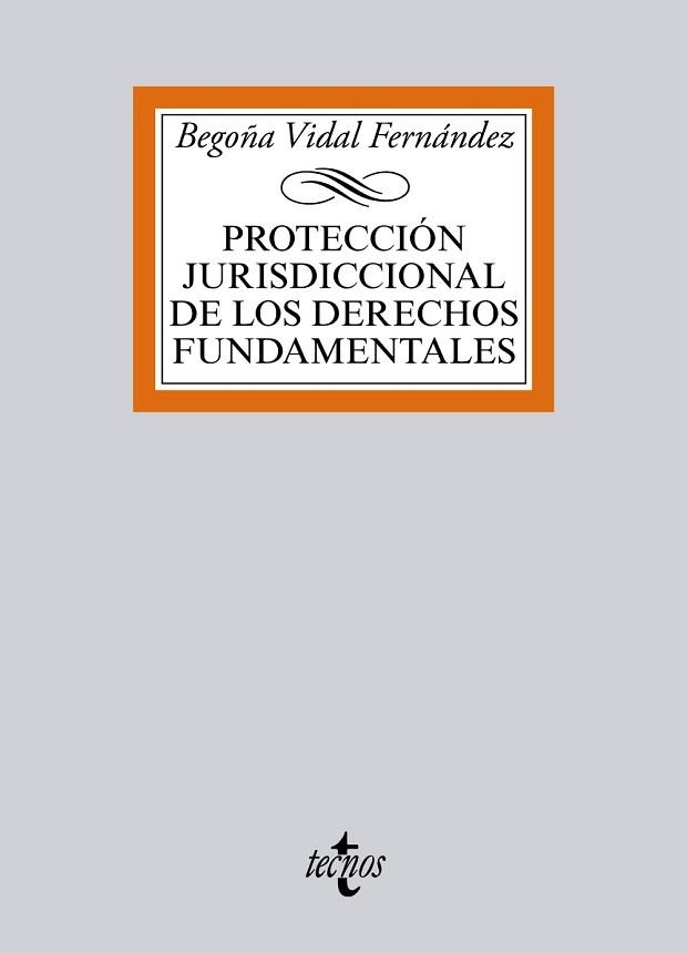 PROTECCION JURISDICCIONAL DE LOS DERECHOS FUNDAMENTALES | 9788430965991 | VIDAL FERNANDEZ,BEGOÑA
