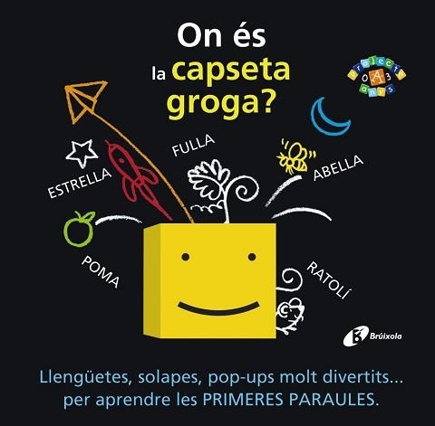 ON ES LA CAPSETA GROGA? | 9788499065809 | CARTER, DAVID