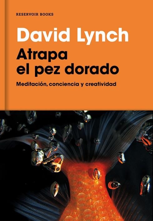 ATRAPA EL PEZ DORADO. MEDITACION, CONCIENCIA Y CREATIVIDAD | 9788416709014 | LYNCH,DAVID