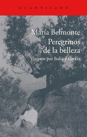 PEREGRINOS DE LA BELLEZA. VIAJEROS POR ITALIA Y GRECIA | 9788416011513 | BELMONTE,MARIA