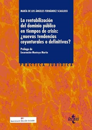 RENTABILIZACION DEL DOMINIO PUBLICO EN TIEMPOS DE CRISIS | 9788430966950 | FERNANDEZ SCAGLIUSI,Mª ANGELES