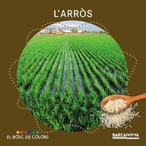 L,ARROS | 9788448938529