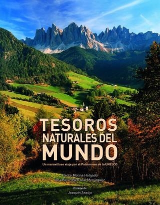 TESOROS NATURALES DEL MUNDO | 9788416177264 | MOLINA,PEDRO BERROCAL,ANA BELEN