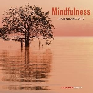MINDFULNESS | 9788448022662 | AA. VV.