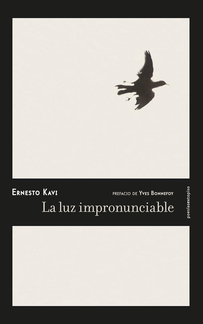 LUZ IMPRONUNCIABLE | 9788416677092 | KAVI,ERNESTO