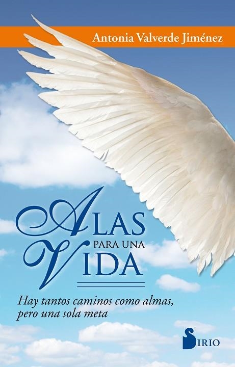 ALAS PARA UNA VIDA | 9788416579761 | VALVERDE JIMENEZ,ANTONIA