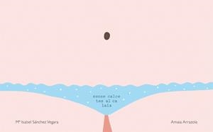 SENSE CALCETES AL CALAIX | 9788416670031 | ARRAZOLA,AMAIA VEGARA,M.ISABEL S.