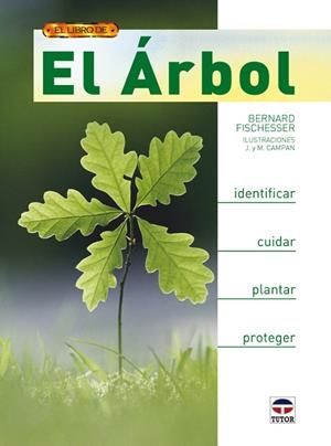 LIBRO DEL ARBOL. IDENTIFICAR Y CUIDAR LAS PLANTAS | 9788479027834 | FISCHESSER,BERNARD