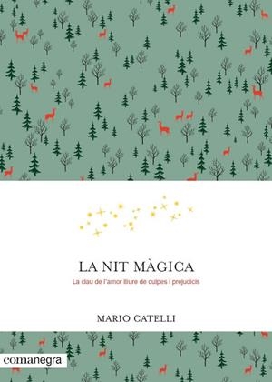 NIT MAGICA. LA CLAU DE L,AMOR LLIURE DE CULPES I PREJUDICIS | 9788416605552 | CATELLI,MARIO