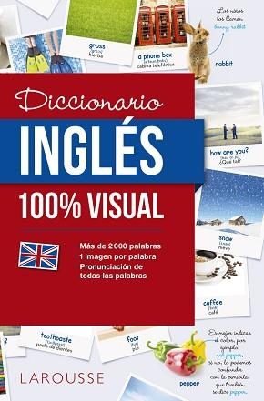 DICCIONARIO INGLES 100 % VISUAL | 9788416641772
