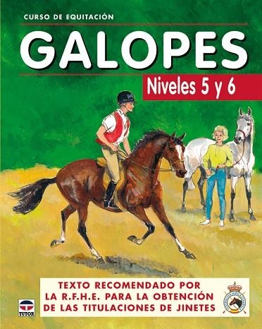 CURSO DE EQUITACION GALOPES NIVELES 5 Y 6 | 9788479025625 | RFHE.REAL FEDERACION HIPICA ESPAÑOLA