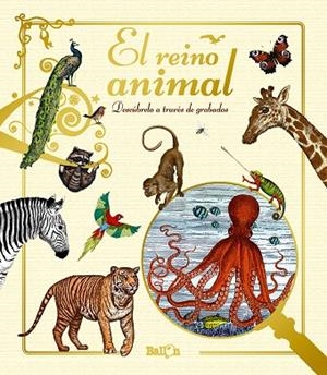 REINO ANIMAL | 9789463075213 | BALLON