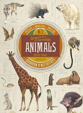 ANIMALS QUINA FAUNA. QUADERN D,ACTIVITATS | 9788416641703