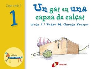 UN GAT EN UNA CAPSA DE CALÇAT. JUGA AMB L,1 | 9788483041529 | GARCIA FRANCO,PEDRO MARIA
