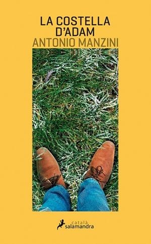 COSTELLA D,ADAM | 9788416310128 | MANZINI,ANTONIO