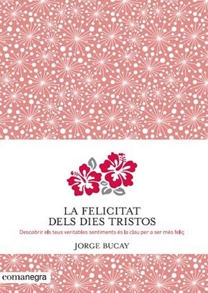 FELICITAT DELS DIES TRISTOS. DESCUBRIR ELS SENTIMENTS PER SER MES FELIÇ | 9788415097945 | BUCAY,JORGE