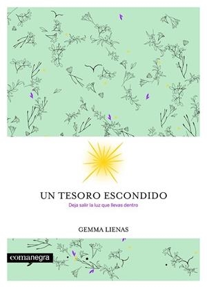 UN TESORO ESCONDIDO | 9788416605354 | LIENAS,GEMMA