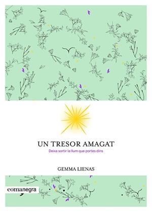UN TRESOR AMAGAT. DEIXA SORTIR LA LLUM QUE PORTES DINS | 9788416605347 | LIENES,GEMMA
