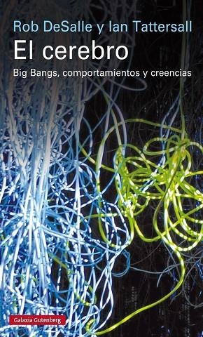 EL CEREBRO | 9788416252268 | DESALLE, ROB/TATTERSALL, IAN