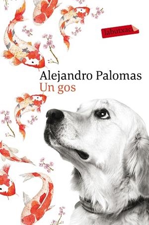 UN GOS | 9788416600625 | PALOMAS,ALEJANDRO