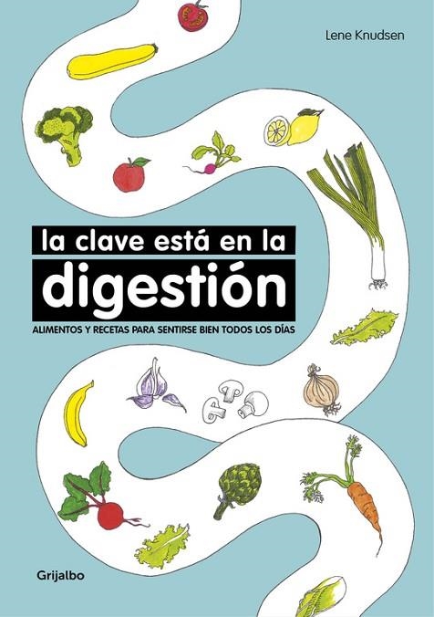 CLAVE ESTA EN LA DIGESTION | 9788416449767 | KNUDSEN,LENE