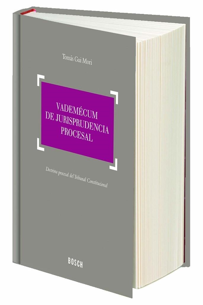 VADEMECUM DE JURISPRUDENCIA PROCESAL. DOCTRINA PROCESAL DEL TRIBUNAL CONSTITUCIONAL | 9788416018673 | GUI MORI,TOMAS