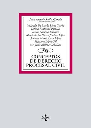 CONCEPTOS DE DERECHO PROCESAL CIVIL | 9788430971589 | ROBLES GARZÓN, JUAN ANTONIO/LUCCHI LÓPEZ-TAPIA, YOLANDA DE/FONTESTAD PORTALÉS, LETICIA/GIMÉNEZ SÁNCH