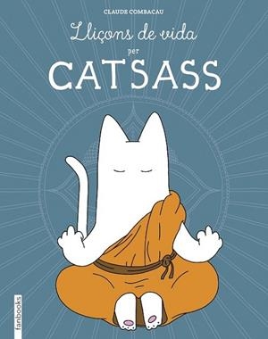 LLIÇONS DE VIDA PER CATSASS | 9788416297948 | COMBACAU,CLAUDE